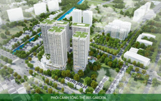 tổng thể dự án